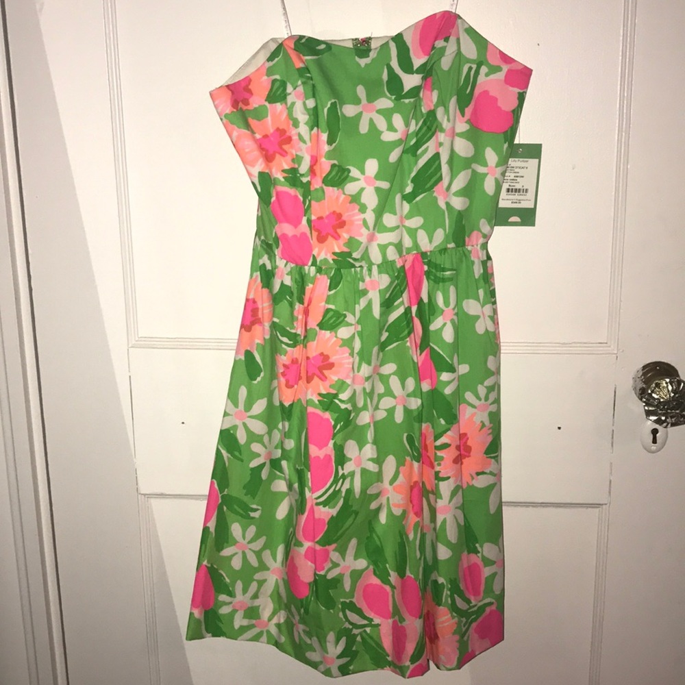 Brand new Lilly Pulitzer Peyton Dress